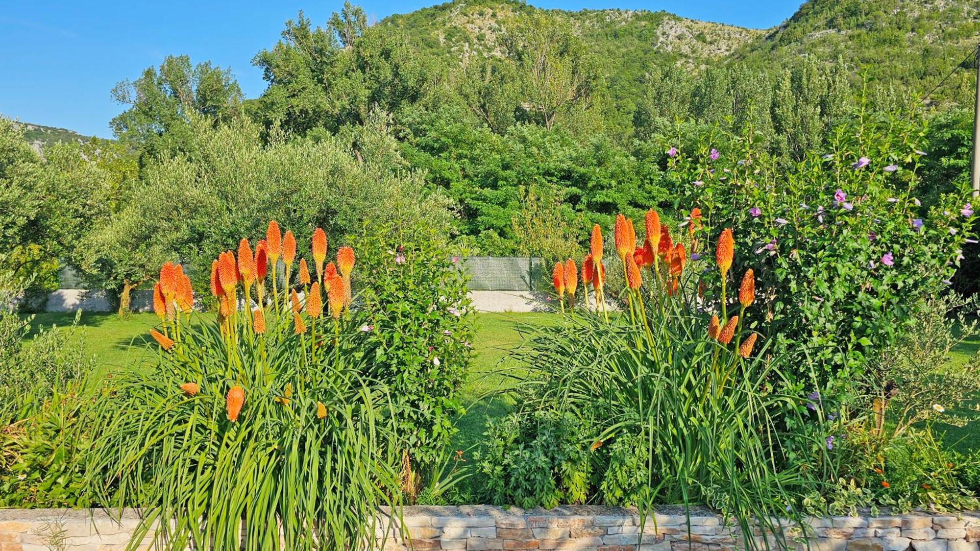 Holiday Home Natura With Private Pool Mostar Buitenkant foto